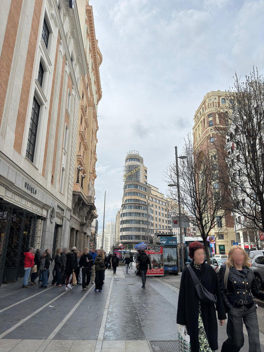 Vivienda de Lujo en Calle Preciados – Centro Histórico de Madrid